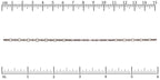 Ruler shown in 1/16-inch increments. Click on image to zoom.