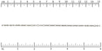 Ruler shown in 1/16-inch increments. Click on image to zoom.