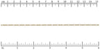 Ruler shown in 1/16-inch increments. Click on image to zoom.