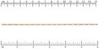 Ruler shown in 1/16-inch increments. Click on image to zoom.