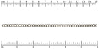 Ruler shown in 1/16-inch increments. Click on image to zoom.