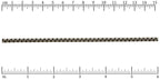 Ruler shown in 1/16-inch increments.<br>Click on image to zoom.