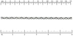 Ruler shown in 1/16-inch increments.<br>Click on image to zoom.