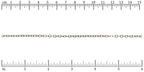 Ruler shown in 1/16-inch increments.<br>Click on image to zoom.
