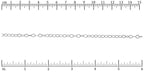 Ruler shown in 1/16-inch increments.<br>Click on image to zoom.