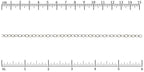 Ruler shown in 1/16-inch increments.<br>Click on image to zoom.