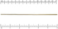 Ruler shown in 1/16-inch increments.<br>Click on image to zoom.