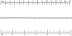 Ruler shown in 1/16-inch increments.<br>Click on image to zoom.