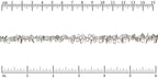 Ruler shown in 1/16-inch increments.<br>Click on image to zoom.