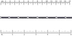 Ruler shown in 1/16-inch increments.Click on image to zoom.