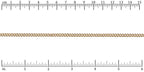 Ruler shown in 1/16-inch increments.Click on image to zoom.