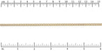 Ruler shown in 1/16-inch increments. Click on image to zoom.