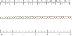 Ruler shown in 1/16-inch increments.<br>Click on image to zoom.
