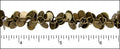 Ruler shown in 1/16-inch increments.<br>Click on image to zoom.