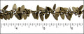dagger dangles chain ANT. BRASS