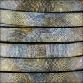10mm flat EURO PRINTED leather IMPRESSIONS - meter