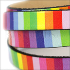 10mm flat EURO PRINTED leather RAINBOW STRIPE - meter strip