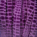 10mm flat CANCUN leather MAUVE - meter