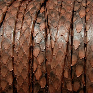 5mm flat PYTHON leather BROWN - meter