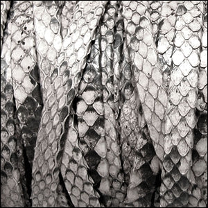 5mm flat PYTHON leather NATURAL GREY - meter