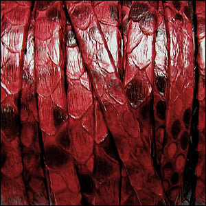 5mm flat PYTHON leather RED - meter