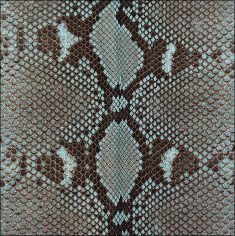 Full PYTHON SKIN Hide SKY BLUE