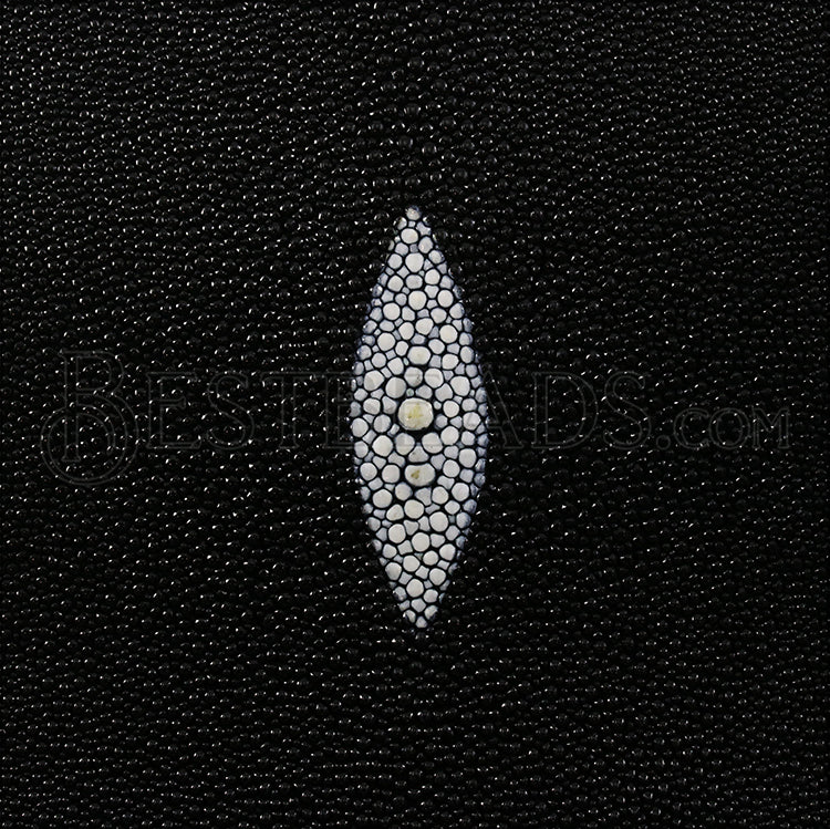 Full Stingray Hide BLACK